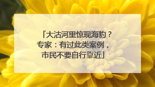 大沽河里惊现海豹？专家：有过此类案例，市民不要自行靠近