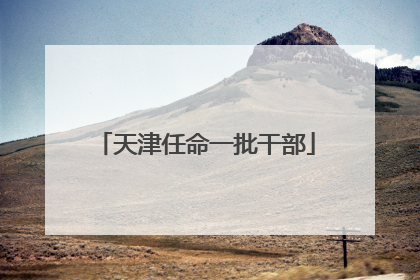 天津任命一批干部