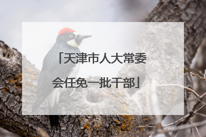 天津市人大常委会任免一批干部