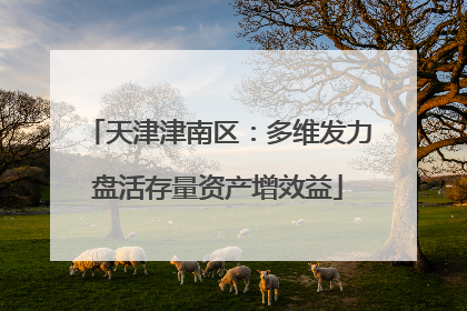 天津津南区：多维发力盘活存量资产增效益