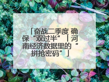 奋战二季度 确保“双过半”丨河南经济数据里的“拼抢密码”