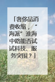 奢侈品消费收缩，“海派”淮海中路能否试试科技、服务突围？