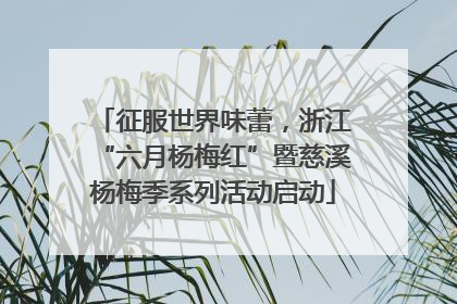 征服世界味蕾，浙江“六月杨梅红”暨慈溪杨梅季系列活动启动