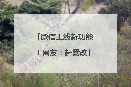 微信上线新功能！网友：赶紧改