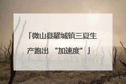 微山县驩城镇三夏生产跑出 “加速度”
