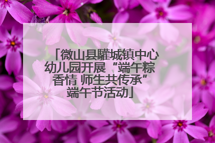 微山县驩城镇中心幼儿园开展“端午粽香情 师生共传承”端午节活动