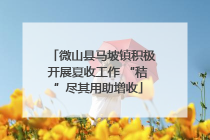 微山县马坡镇积极开展夏收工作 “秸”尽其用助增收