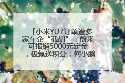 小米YU7订单遭多家车企“截胡”：蔚来可报销5000元定金，极氪送积分；何小鹏下单YU7，喊话雷军早点交付