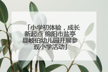 小学初体验，成长新起点 绵阳市盐亭县岐伯幼儿园开展参观小学活动
