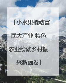 小水果撬动富民大产业 特色农业绘就乡村振兴新画卷