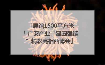 展馆1500平方米！广安产业“建圈强链”精彩亮相西博会