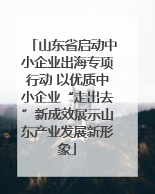 山东省启动中小企业出海专项行动 以优质中小企业“走出去”新成效展示山东产业发展新形象