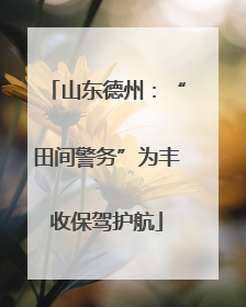 山东德州：“田间警务”为丰收保驾护航