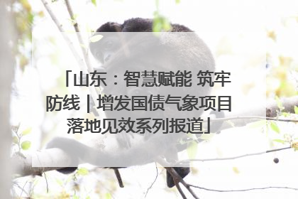 山东：智慧赋能 筑牢防线｜增发国债气象项目落地见效系列报道