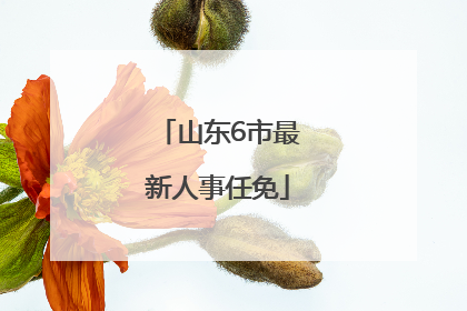 山东6市最新人事任免