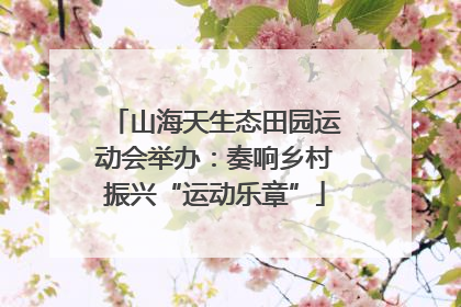山海天生态田园运动会举办：奏响乡村振兴“运动乐章”