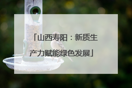 山西寿阳：新质生产力赋能绿色发展