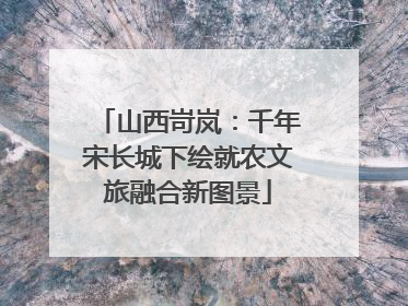 山西岢岚：千年宋长城下绘就农文旅融合新图景