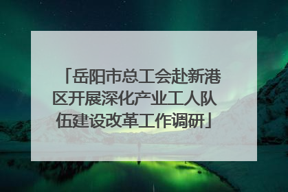岳阳市总工会赴新港区开展深化产业工人队伍建设改革工作调研