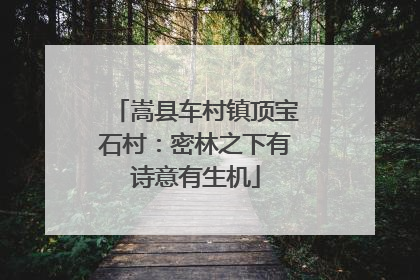 嵩县车村镇顶宝石村：密林之下有诗意有生机