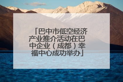 巴中市低空经济产业推介活动在巴中企业（成都）幸福中心成功举办