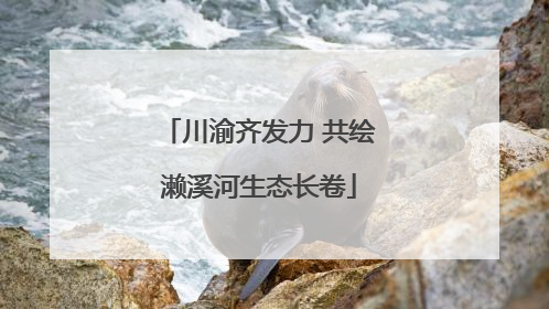 川渝齐发力 共绘濑溪河生态长卷