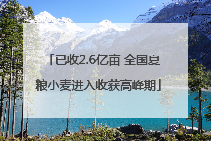 已收2.6亿亩 全国夏粮小麦进入收获高峰期