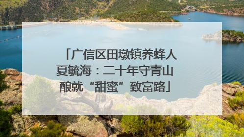 广信区田墩镇养蜂人夏毓海：二十年守青山酿就“甜蜜”致富路