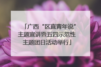 广西“区直青年说”主题宣讲暨五四示范性主题团日活动举行