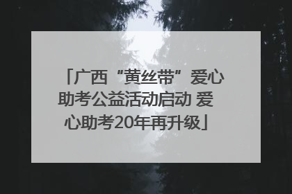 广西“黄丝带”爱心助考公益活动启动 爱心助考20年再升级
