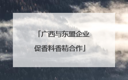 广西与东盟企业促香料香精合作