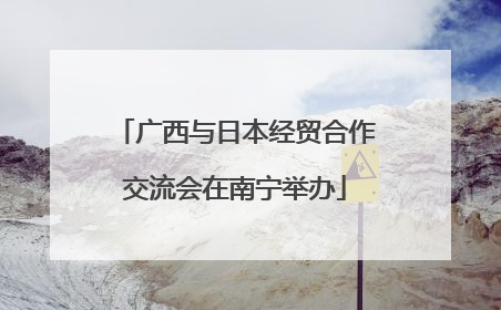 广西与日本经贸合作交流会在南宁举办