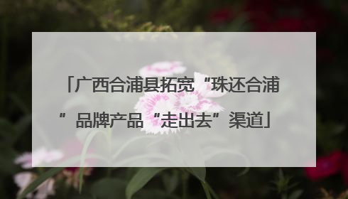 广西合浦县拓宽“珠还合浦”品牌产品“走出去”渠道