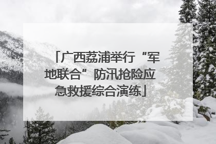 广西荔浦举行“军地联合”防汛抢险应急救援综合演练