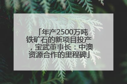 年产2500万吨铁矿石的新项目投产，宝武董事长：中澳资源合作的里程碑