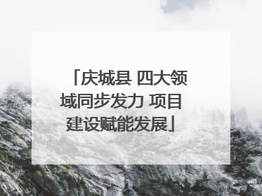 庆城县 四大领域同步发力 项目建设赋能发展