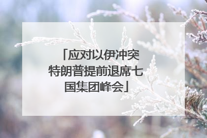 应对以伊冲突 特朗普提前退席七国集团峰会