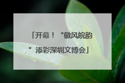 开幕！“徽风皖韵”添彩深圳文博会
