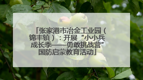 张家港市冶金工业园（锦丰镇）：开展“小小兵成长季——勇敢挑战营”国防启蒙教育活动