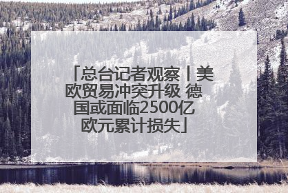 总台记者观察丨美欧贸易冲突升级 德国或面临2500亿欧元累计损失