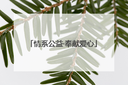 情系公益·奉献爱心