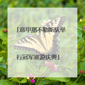 意甲那不勒斯队举行冠军巡游庆典