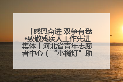 感恩奋进 双争有我•致敬残疾人工作先进集体丨河北省青年志愿者中心（“小橘灯”助残接力计划实施团队）：用温暖陪伴，守护特殊孩子成长
