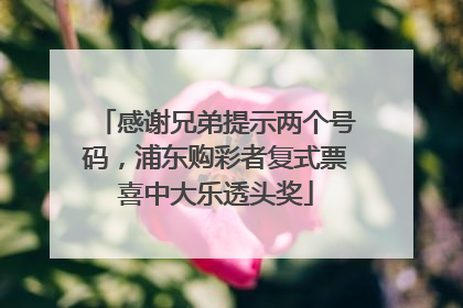 感谢兄弟提示两个号码，浦东购彩者复式票喜中大乐透头奖