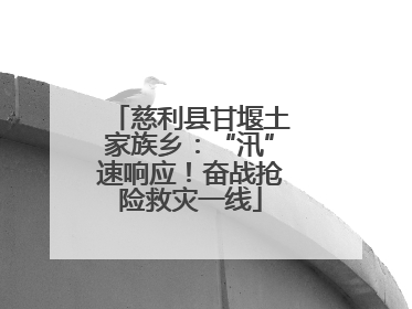 慈利县甘堰土家族乡：“汛”速响应！奋战抢险救灾一线
