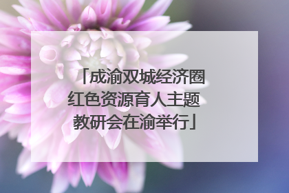 成渝双城经济圈红色资源育人主题教研会在渝举行