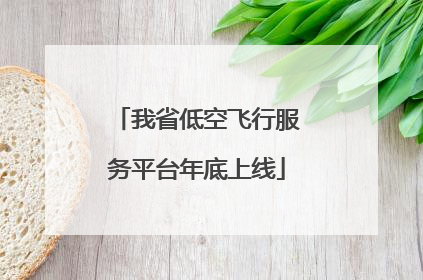 我省低空飞行服务平台年底上线