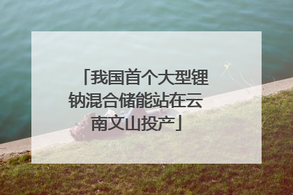我国首个大型锂钠混合储能站在云南文山投产