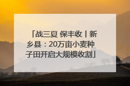 战三夏 保丰收丨新乡县：20万亩小麦种子田开启大规模收割