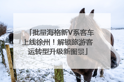 批量海格新V系客车上线徐州！解锁旅游客运转型升级新图景
